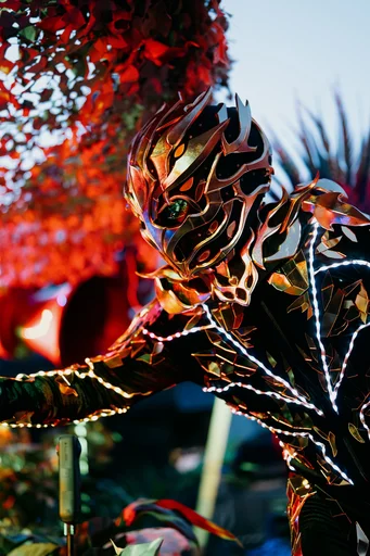 JungleHouseFestival-VDS-2026-3.jpg